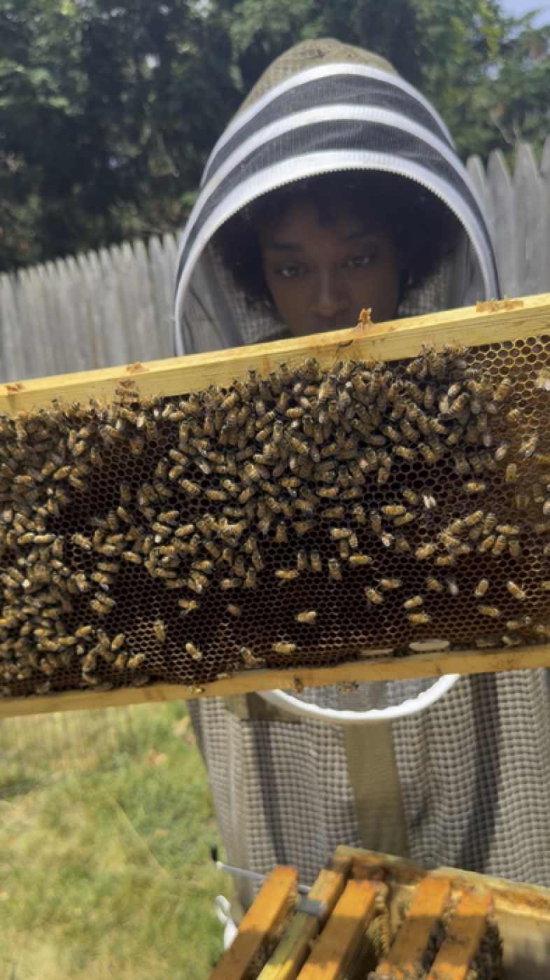 Kari inspecting a frame covered in bees